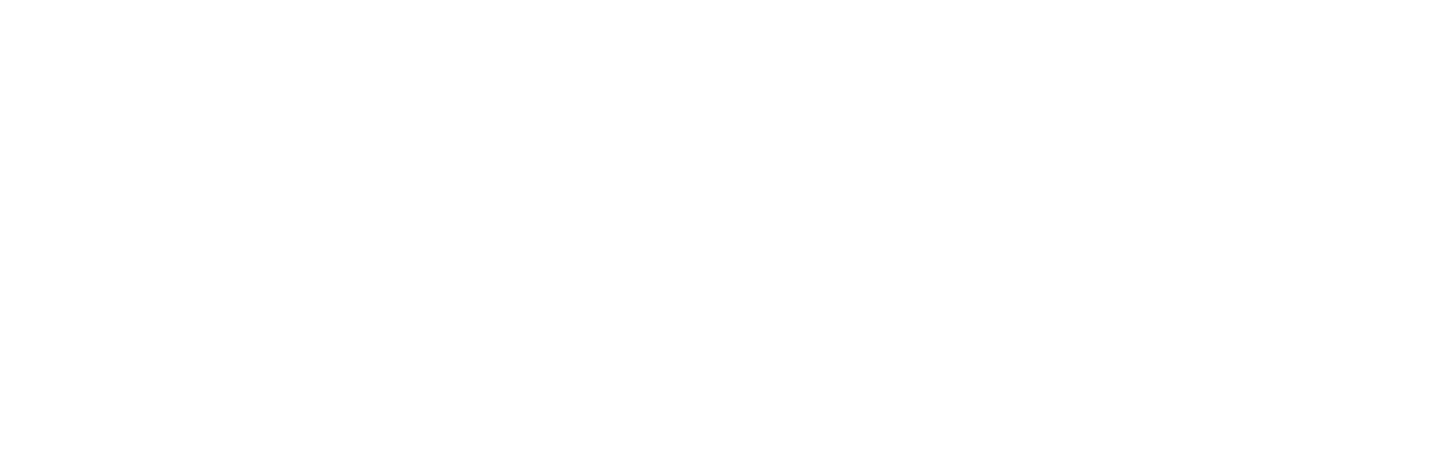 MedicWillow